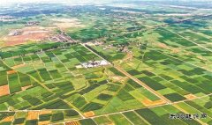 华北油田：巴彦拔节声声响 百万吨上产节节高