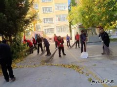 阿勒泰执法支队哈巴河执法大队：党员志愿服务在行动