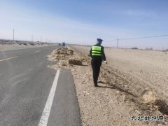 哈巴河执法大队：清除路面杂物，及时化险为夷