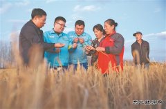 黑龙江销售保供秋收全力支农惠农