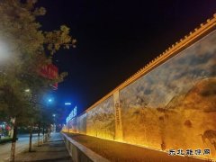 深秋风雨中的影子