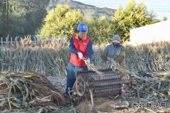 国网巴林左旗供电公司：“满格电”助力小笤帚大产业