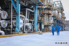 抚顺石化严巡细查 防冻防凝责任到人