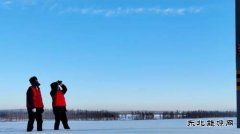 国网九三供电公司：特巡特护守安全 保供“佳节”