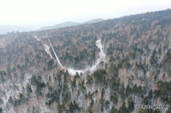 续写大箐山上的“绿色传奇”
