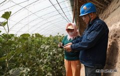 国网阿鲁科尔沁旗供电公司：不误农时不负春 电力服务助农户