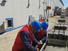 国网牡丹江东宁市供电公司：菌业“电保姆”供电护航助发展