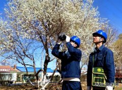 国网敖汉旗供电公司：青山灼灼巡线早 护航春灌保电忙