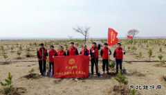 国网巴林右旗供电公司：春风执笔绘绿浪 铁锹为弦奏青章