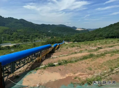 从“生态包袱”到“绿色富矿”，这项治理工程如何唤醒金山？