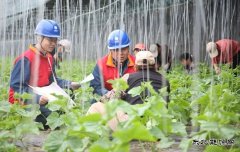 国网阿鲁科尔沁旗供电公司：电力赋能奏响乡村振兴“交响曲”