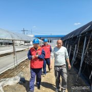 国网牡丹江东宁市供电公司：服务菌农 助力木耳产业用电安全