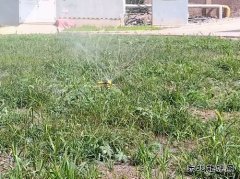 牛儿庄采矿公司：废水巧利用环保又节能