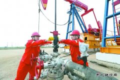 辽河冷家油田：稠油冷采 节能增产