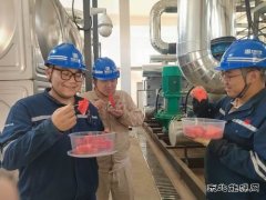 大唐葫芦岛热力公司：开出高温炙烤应对“凉”方