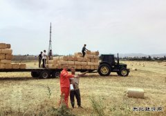 新疆油田油气储运公司：麦收正当时 伴农护管忙