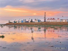 辽河油田：鹭栖 “金海”