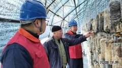 国网牡丹江东宁市供电：护航秋收保丰产 暖心服务助“耳”香